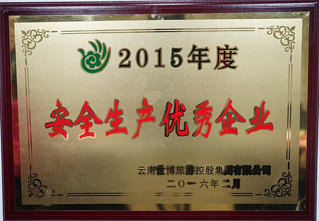 30-2015年度安全生產(chǎn)優(yōu)秀企業(yè)