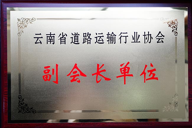 44云南省道路運輸行業(yè)協(xié)會副會長單位